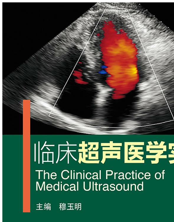 临床超声医学实践